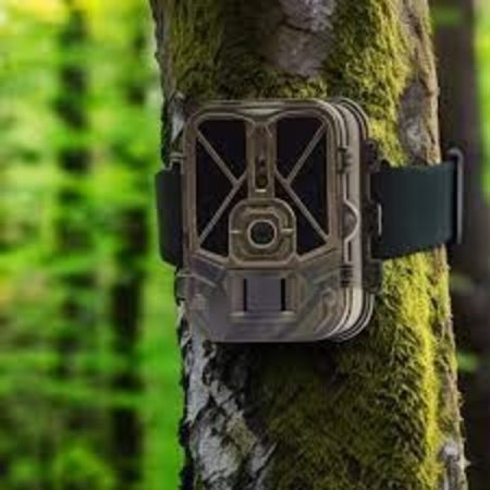 Une ou plusieurs "Caméras de Chasse" camouflées dans un environnement forestier, idéales pour la surveillance de la faune sauvage et la sécurité des propriétés